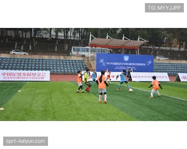 欧足联与高校合作推出“足球管理”硕士新课程